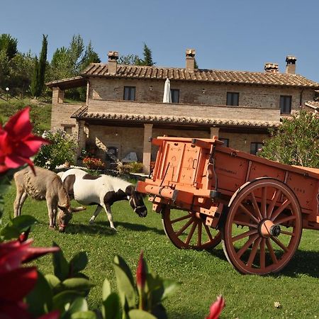 Farm Stay Il Carro Del Colle Collevalenza Exterior foto