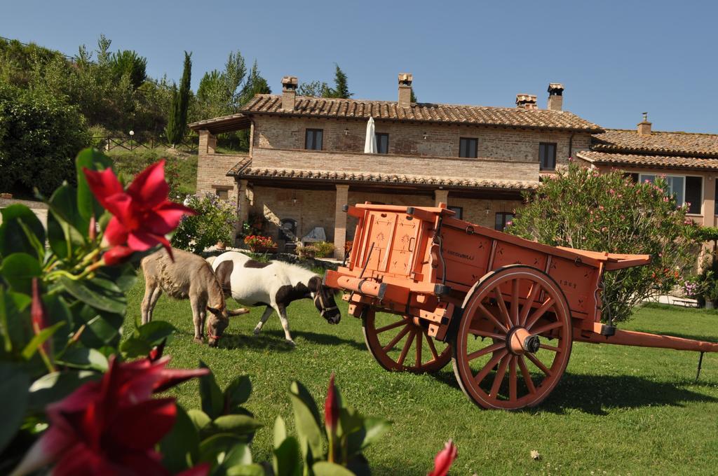 Farm Stay Il Carro Del Colle Collevalenza Exterior foto